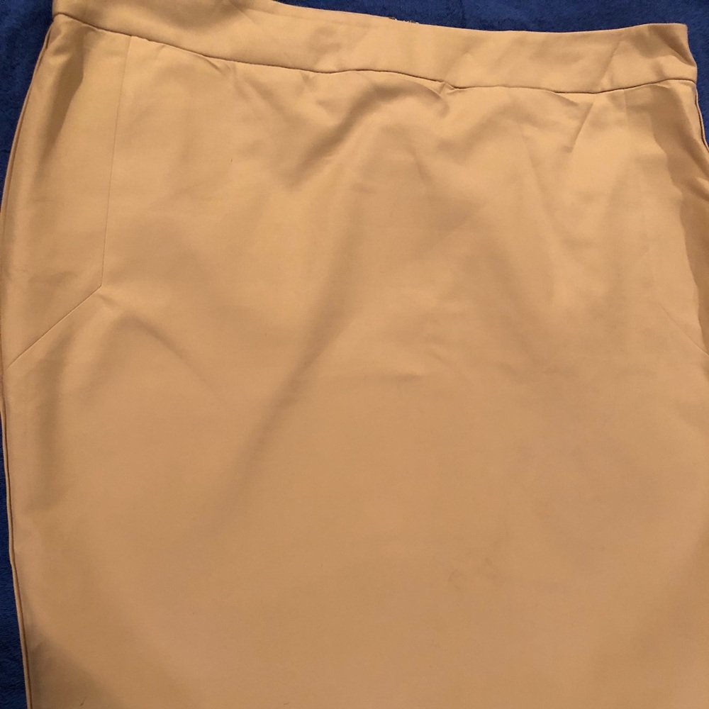 The Limited stretch skirt